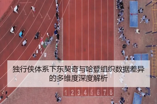 独行侠体系下东契奇与哈登组织数据差异的多维度深度解析